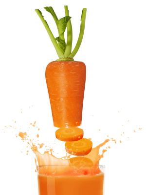 carrot